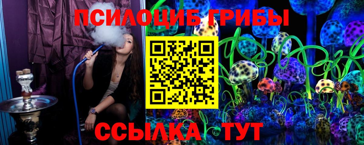 Искитим  Галлюциногенные грибы Cubensis  Вход с VPN 