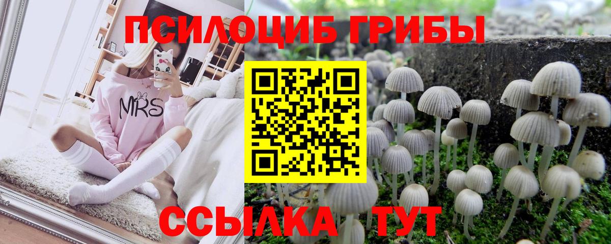 Галлюциногенные грибы GOLDEN TEACHER Искитим